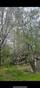 Продаю свою дачу в Паркенте