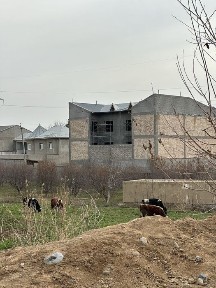 Унгкоргон 3 сотих