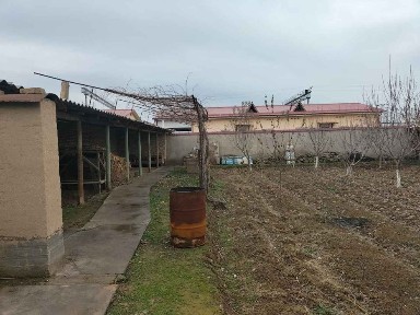 Продаётся дом в янгиюле