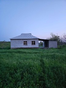 Продается дом с большим участком 45 соток в поселке Курсой
