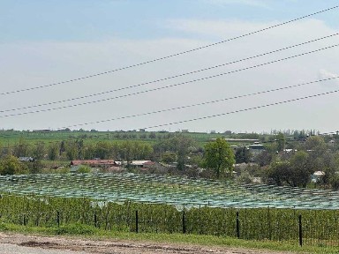 Продается своя дача в поселке Майский (Зафаработ)