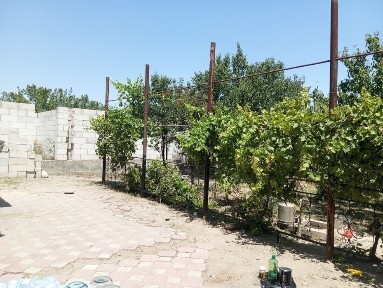 Сырдарьинская область, Сырдарья