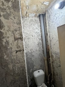 Olmazor tumani dom