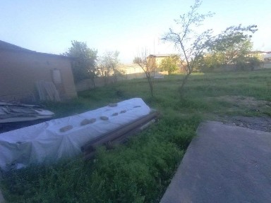 Hovli yer narxida / Zenit
