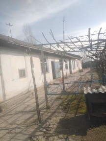Ташкентская область, Янгибазар