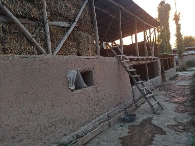 Ташкентская область, Бука