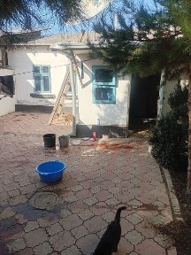 Собственник. Продаётся дом в Янгиюле