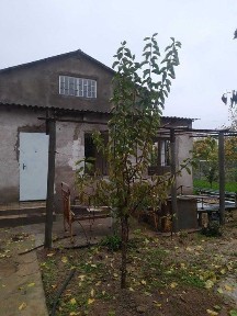 Ташкентская область, Нурафшан (Тойтепа)