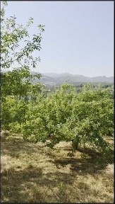 Продаётся 2 участка в Кумушкане.