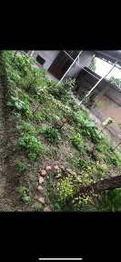 Продается дом. Ховли сотилади.