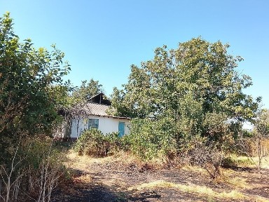Ташкентская область, Ташморе