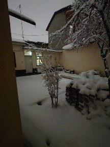 Ko'kcha darvoza Shofayzda 4 ta xona 2 sotix uy sotiladi.