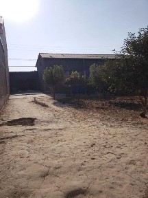 Hovli sotiladi Nazarbekda