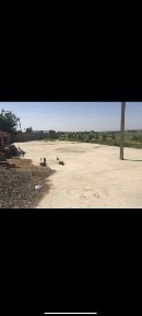 Ташкентская область, Чиназ