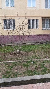 Под офис арендага берилади 70кв