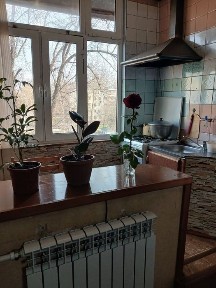 Ташкентская область, Ташкент, Чиланзарский район
