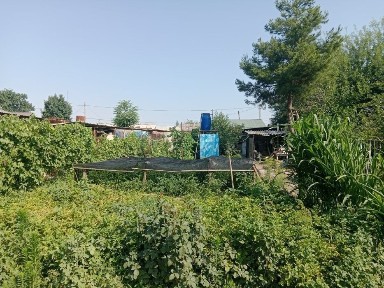 Ташкентская область, Ташкент, Сергелийский район