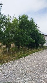Uchastka sotiladi