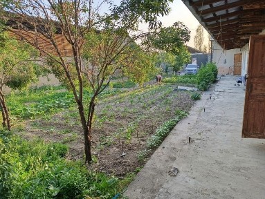 Жумабозор центрда Ховли сотилади