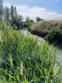 Ташкентская область, Кибрай