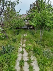 Продается участок в Яшнабадском районе