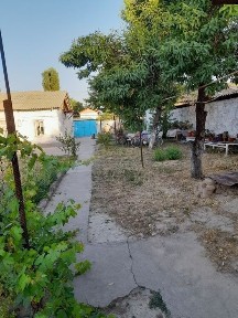 Ташкентская область, Янгибазар