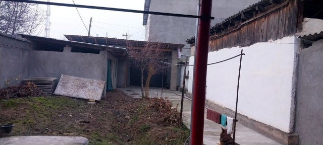 Ташкентская область, Янгибазар