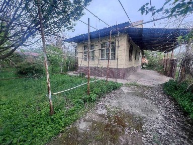 Dacha (Dala hovli)