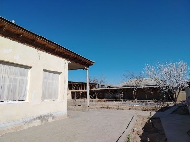 Ташкентская область, Янгиюль