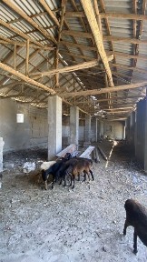 Ташкентская область, Ташкент, Алмазарский район