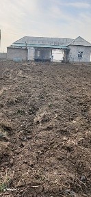Ташкентская область, Нурафшан (Тойтепа)