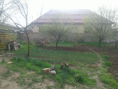 Участок 8 соток