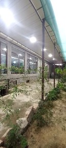 Сергели Хонобод 2х этажный Евродом 4.5 сотки 8 комнат