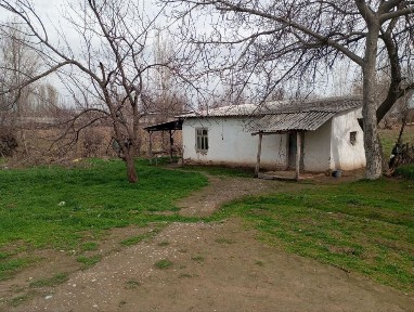 Ташкентская область, Бука