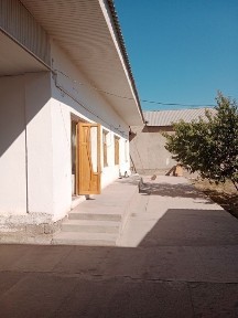 Ташкентская область, Нурафшан (Тойтепа)