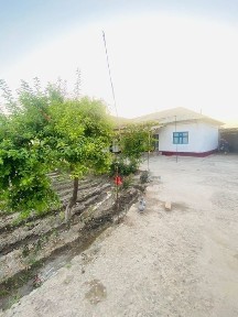 Ташкентская область, Бука