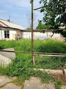 Ташкентская область, Янгиюль