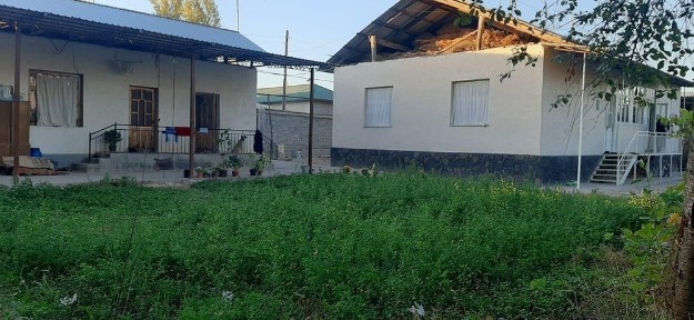 Ташкентская область, Янгибазар