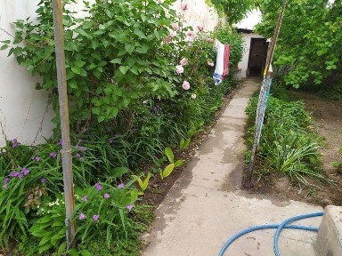 Продаётся дом 3,8 соток