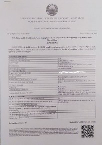 Дача не далеко от реки Чирчик