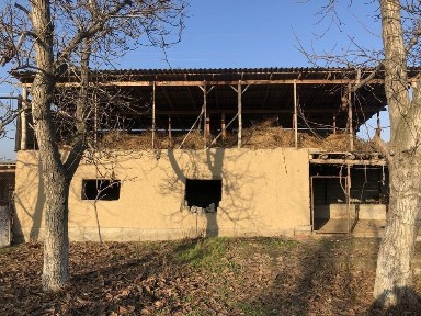 Uchaska sotiladi srocna