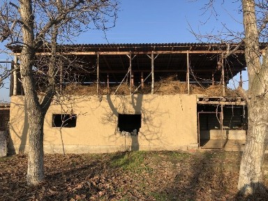 Ташкентская область, Янгиюль