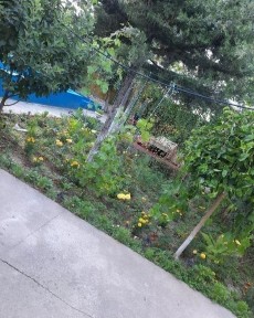 Чарвак ! Продам свой жилой участок в 1326Чарвак