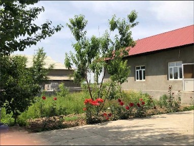 Ташкентская область, Янгибазар