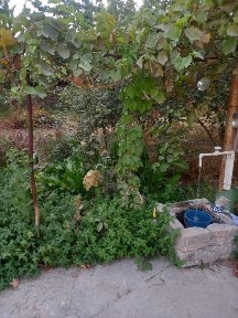 Ташкентская область, Чирчик