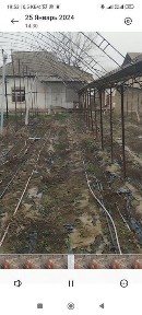 Ташкентская область, Нурафшан (Тойтепа)