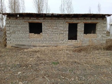 Ташкентская область, Янгиюль