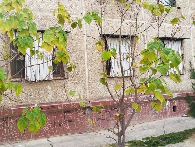 Срочно продаётся !