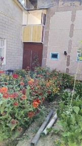Ташкентская область, Искандар