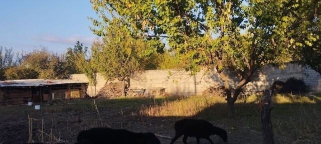 10 сотик ер 3 хона уйи билан сотилади, жуда су́лим жойда жойлашган
